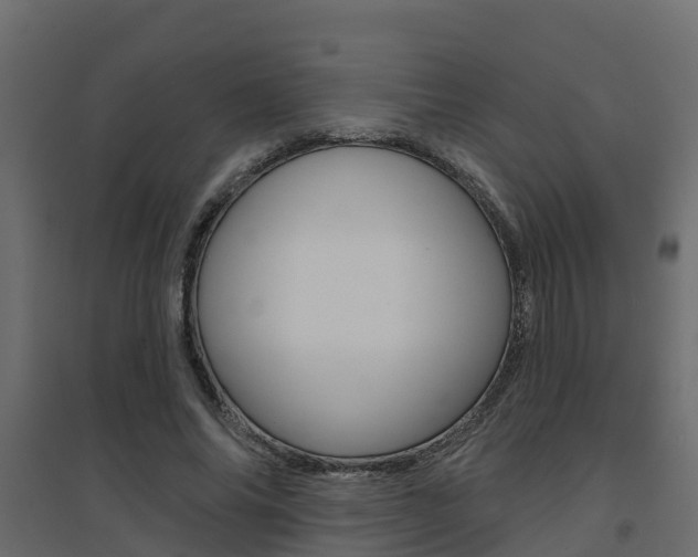 X0000094900686200711291023
