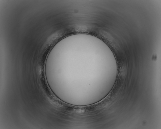 X0000094900687200711291023