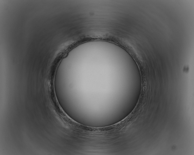 X0000094900688200711291023