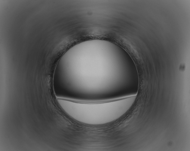 X0000094900689200711291023