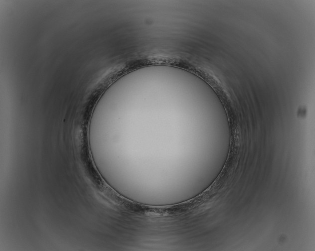 X0000094900690200711291023