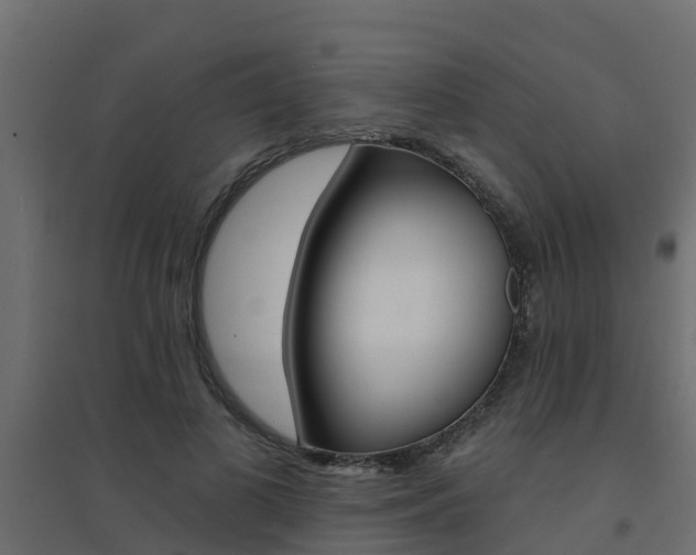 X0000094900693200711291023