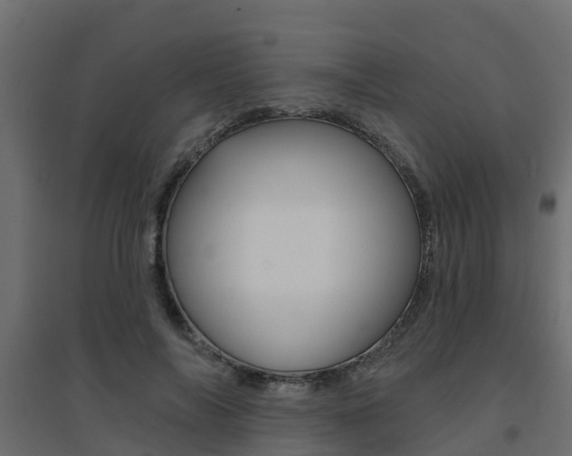 X0000094900694200711291023