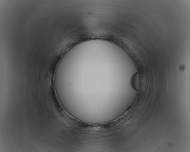 X0000094900695200711291023
