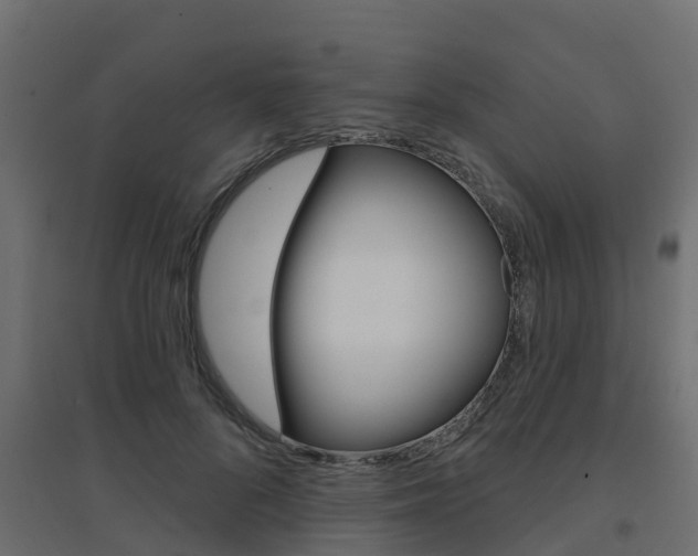 X0000094900696200711291023