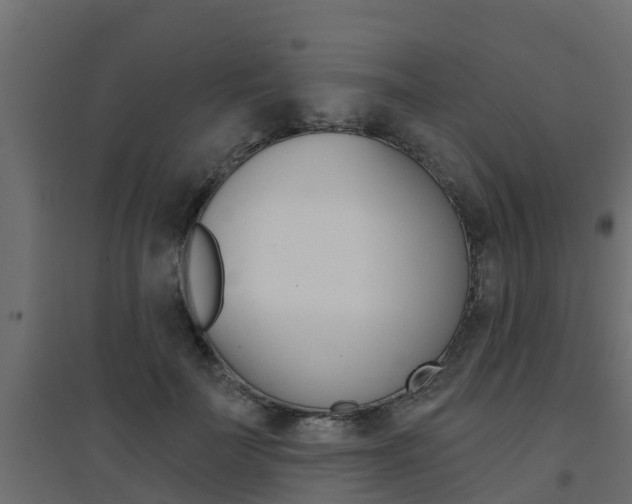 X0000094900699200711291023