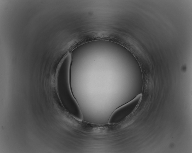 X0000094900700200711291023