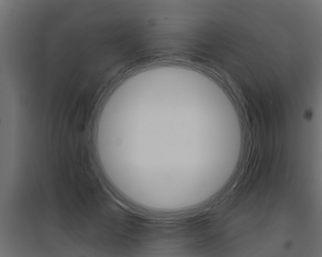 X0000094900701200711291023