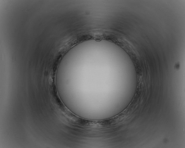 X0000094900702200711291023