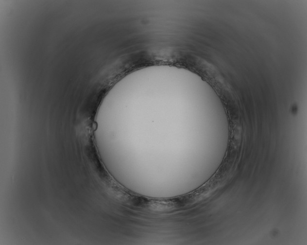 X0000094900707200711291023