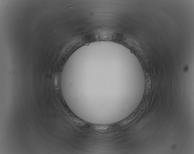 X0000094900709200711291023