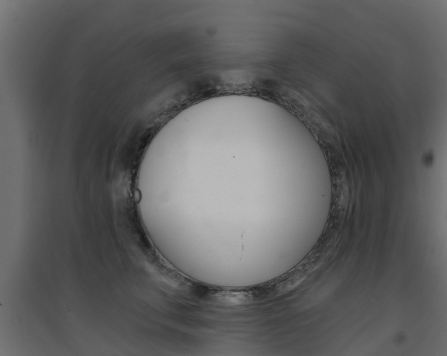 X0000094900711200711291023
