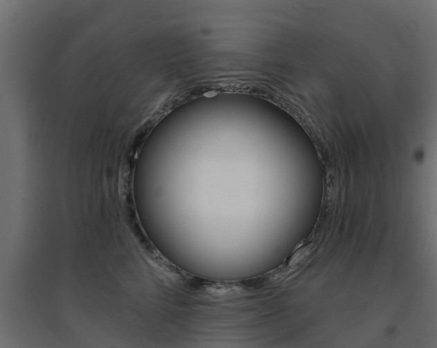 X0000094900712200711291023