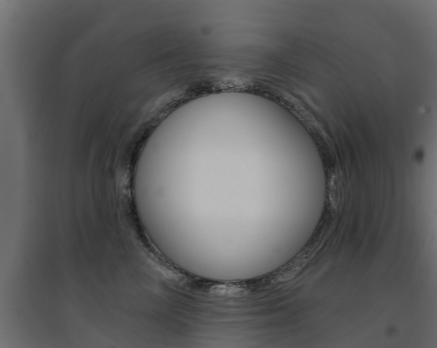 X0000094900714200711291023