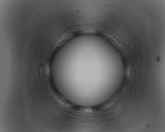 X0000094900715200711291023