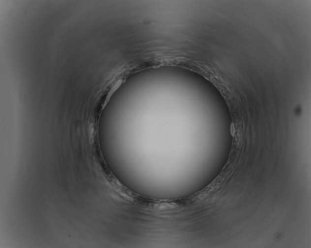 X0000094900716200711291023