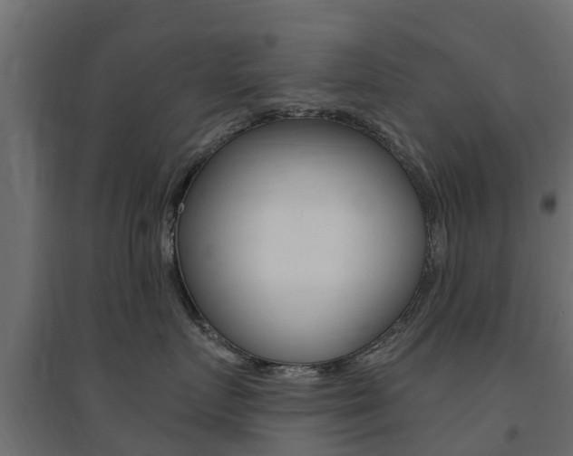 X0000094900719200711291022