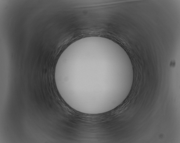 X0000094900720200711291022
