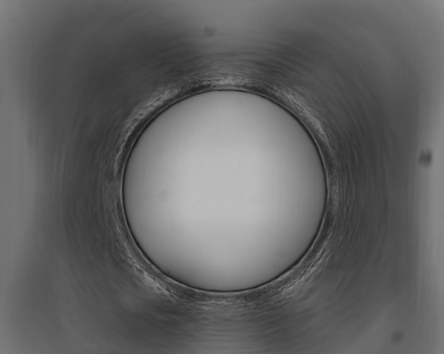 X0000094900721200711291022
