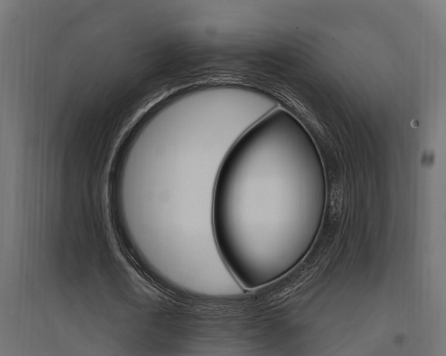 X0000094900722200711291022