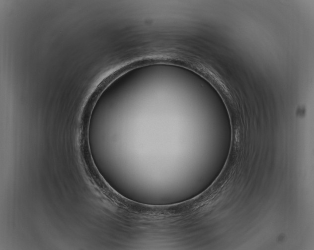 X0000094900724200711291022