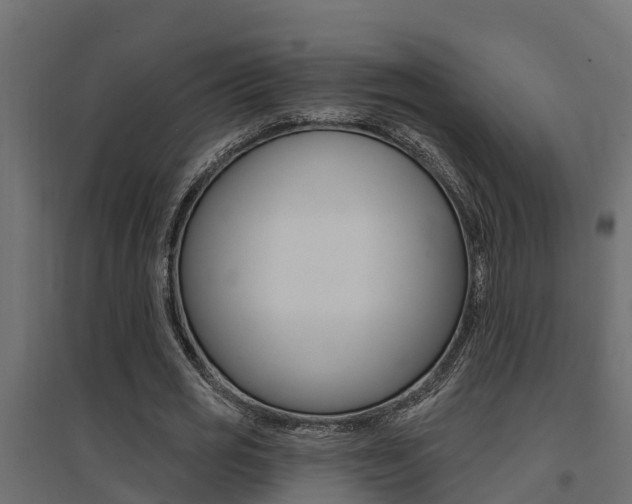 X0000094900725200711291022