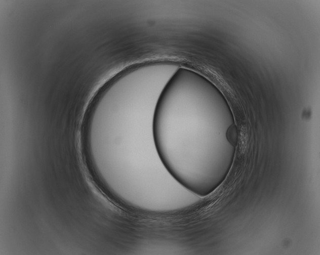X0000094900726200711291022