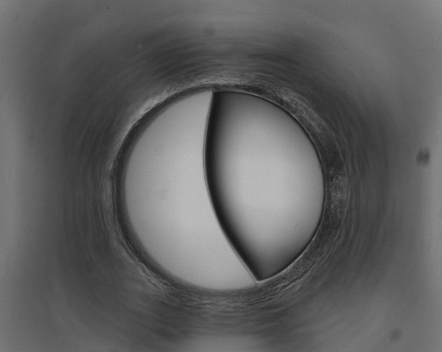X0000094900727200711291022