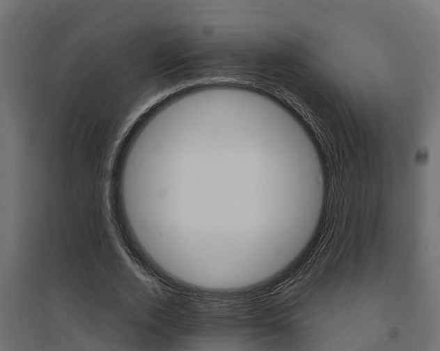 X0000094900728200711291022