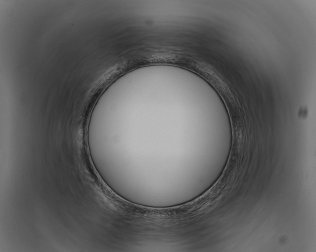 X0000094900729200711291022