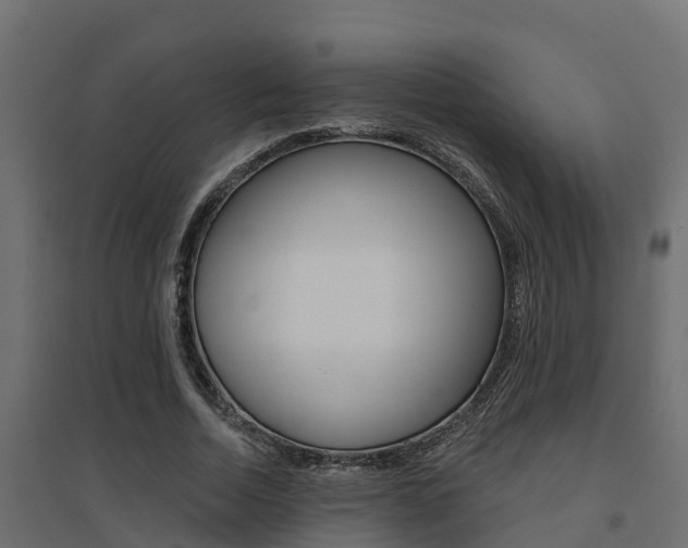 X0000094900730200711291022