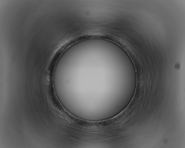 X0000094900731200711291022