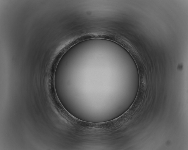 X0000094900732200711291022