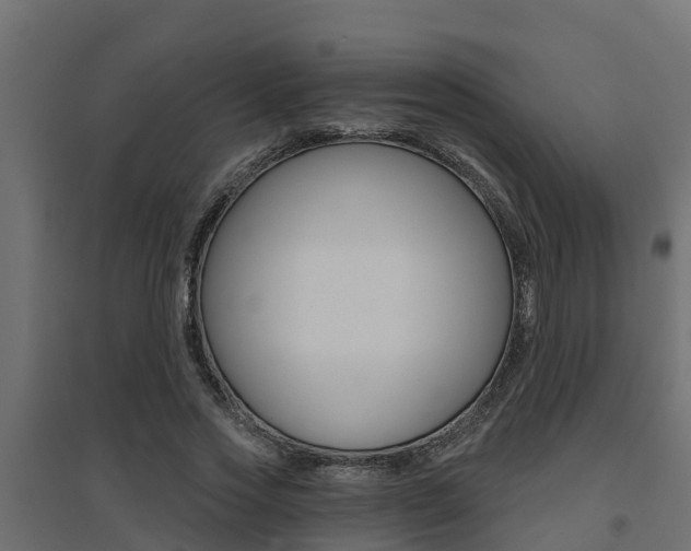 X0000094900733200711291022