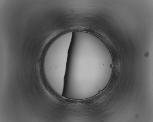 X0000094900734200711291022