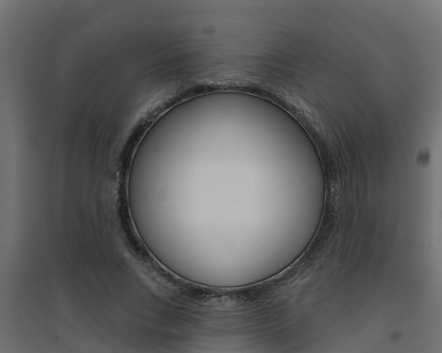 X0000094900735200711291022