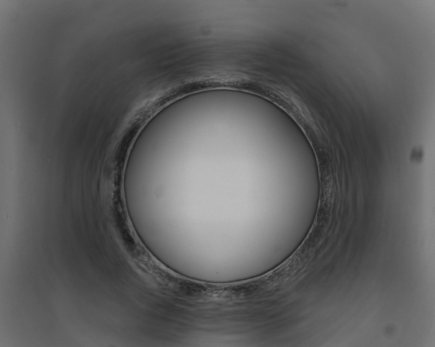 X0000094900736200711291022