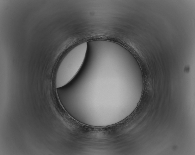X0000094900738200711291022