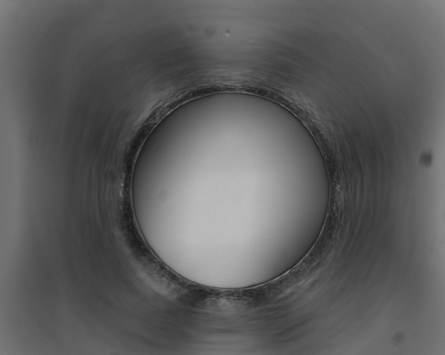 X0000094900739200711291022