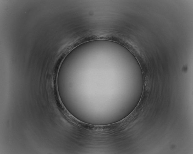 X0000094900740200711291022