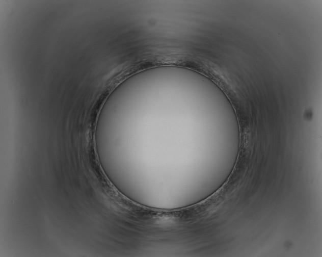 X0000094900741200711291022