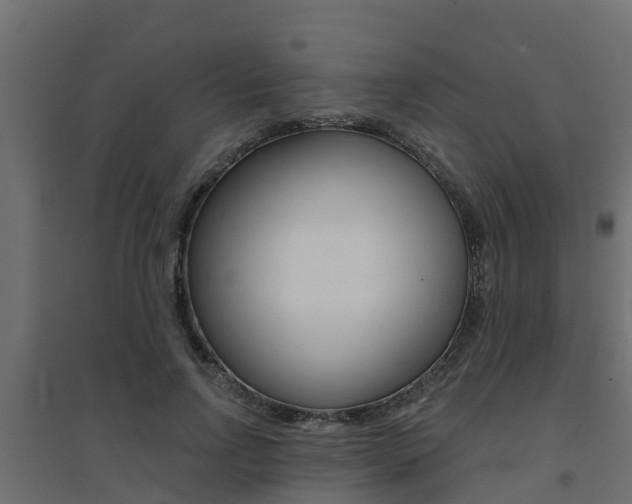 X0000094900742200711291022