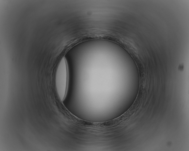 X0000094900743200711291022