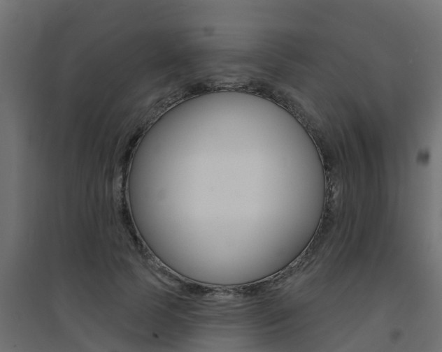 X0000094900745200711291022