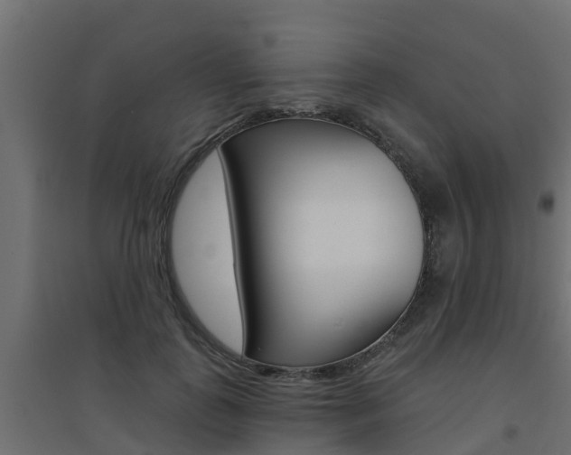 X0000094900747200711291022