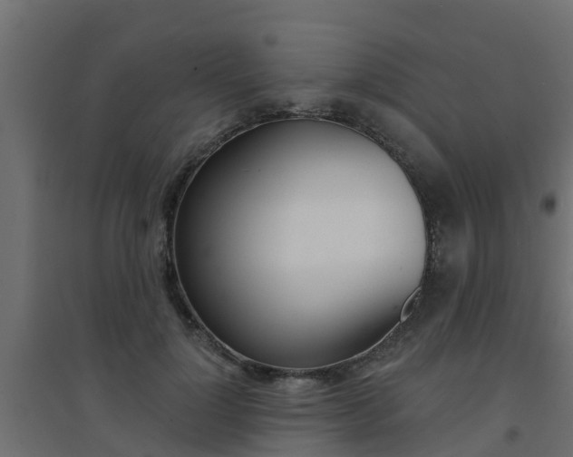 X0000094900748200711291022