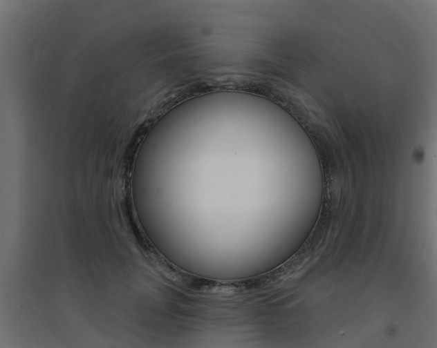 X0000094900751200711291022