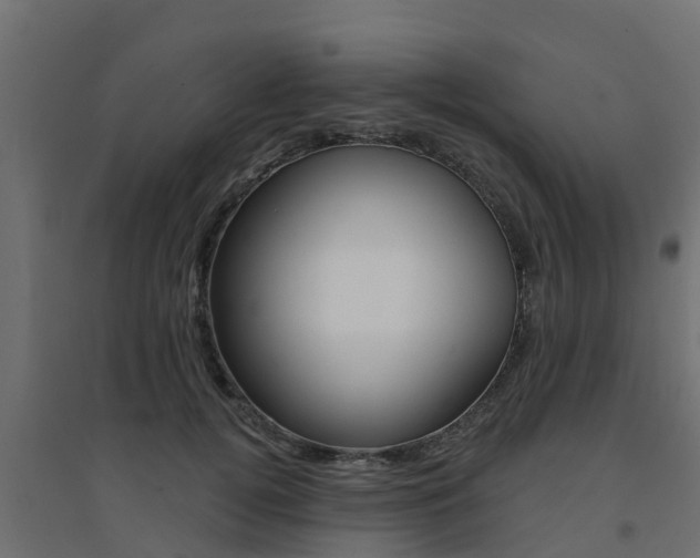 X0000094900752200711291022