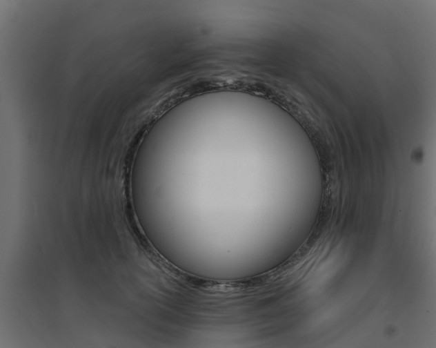 X0000094900754200711291022