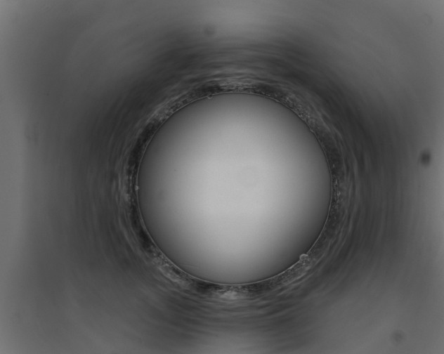 X0000094900755200711291022